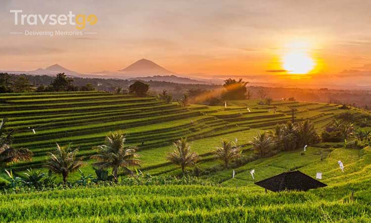 GLIMPES OF BALI