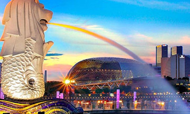 Singapore Highlight
