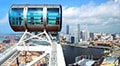 Unlimited Singapore