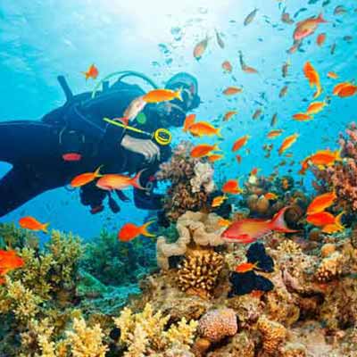Delightful Andaman