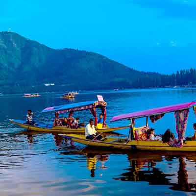 Kashmir Bliss