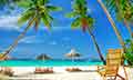 THAILAND DELIGHT 