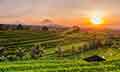 GLIMPES OF BALI
