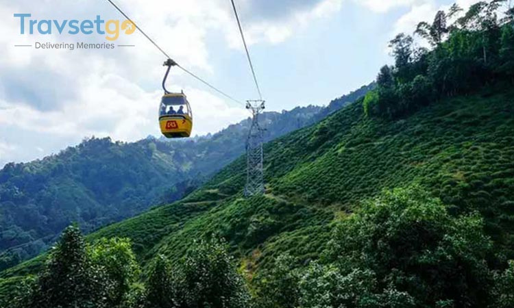 Scenic Darjeeling with Gangtok	