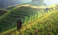 Scenic Darjeeling with Gangtok	