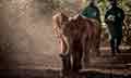 EXPLORE KENYA-SOUTH AFRICA