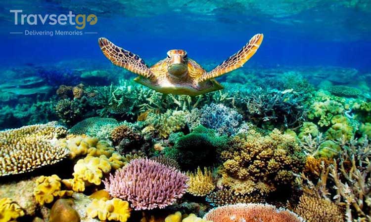 Discover Australia