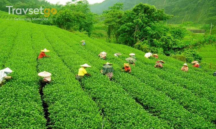 Darjeeling Gateway