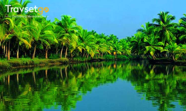 Amazing Kerala