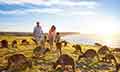 Southern Highlights of Australia