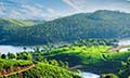 Delights of Kerala