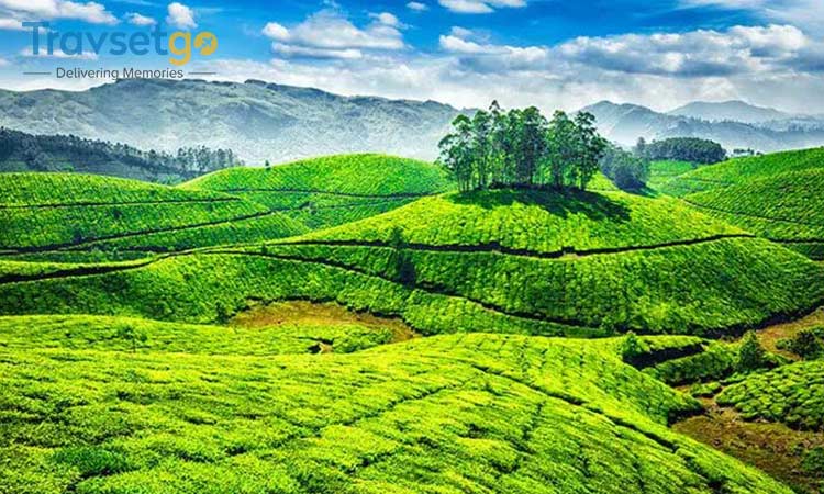 Munnar Gateway