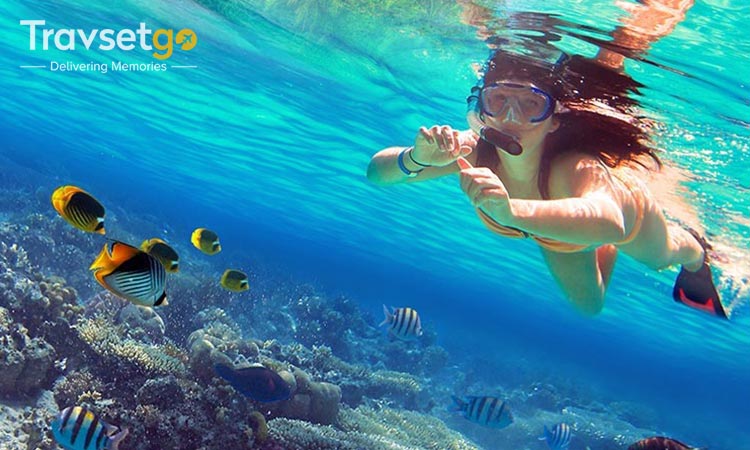 Exotic Andaman