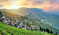 Scenic Darjeeling with Gangtok	