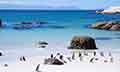 ENJOYABLE SOUTH AFRICA