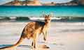 Glimpse of Australia with New Zealand