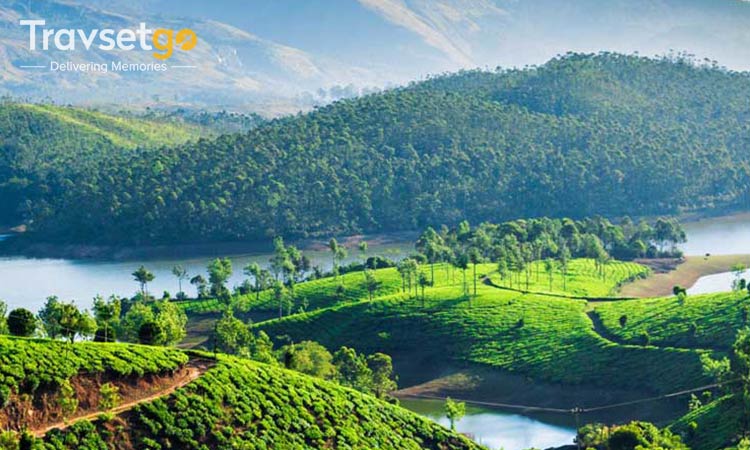 Delights of Kerala