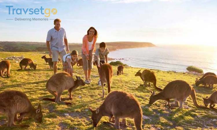 Experience Australia