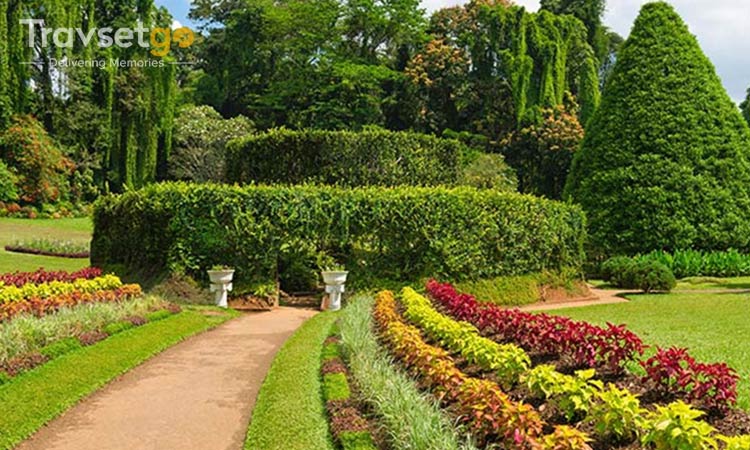 ENIGMATIC SRILANLA- FOR HONEYMOONERS