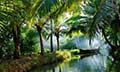 Delights of Kerala