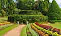 ENIGMATIC SRILANLA- FOR HONEYMOONERS
