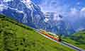 Discover Swiss with Paris