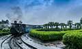 Darjeeling , Gangtok with Kalimpong