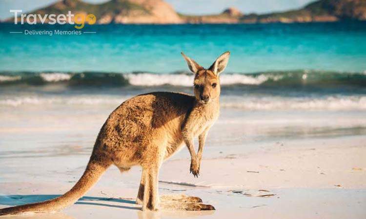 Glimpse of Australia with New Zealand
