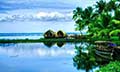Backwater Delight