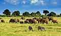EXPLORE KENYA-SOUTH AFRICA