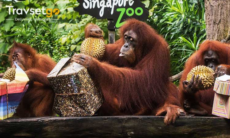 Singapore for Kids
