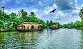 Backwater Delight
