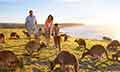 Experience Australia