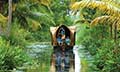 Stunning Kerala