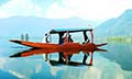 Amazing Kashmir