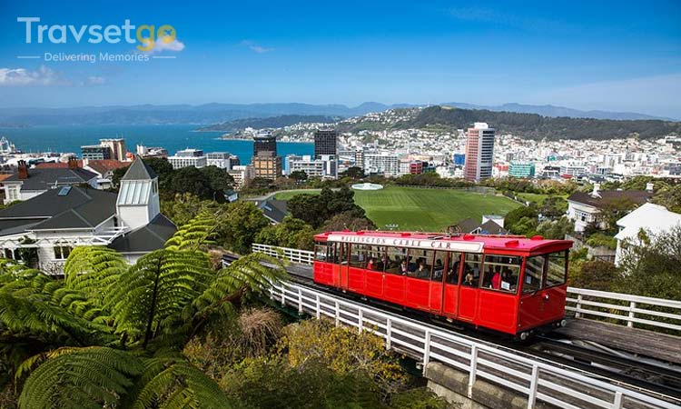 Gems of New Zealand