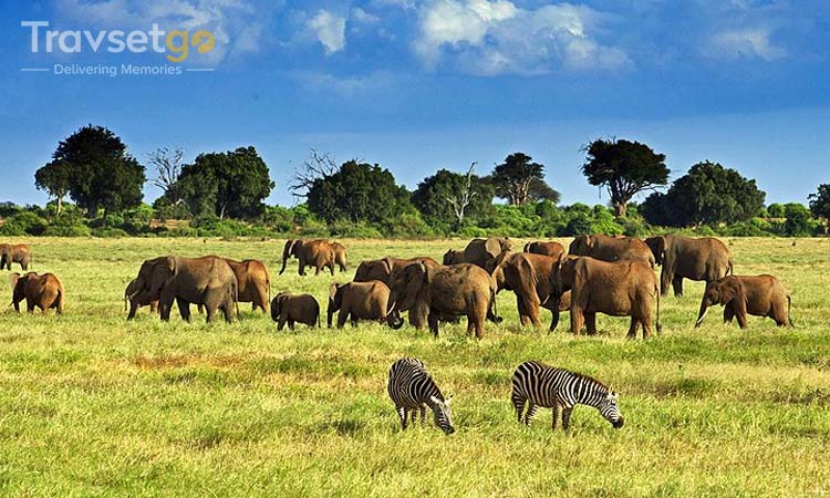 EXPLORE KENYA-SOUTH AFRICA