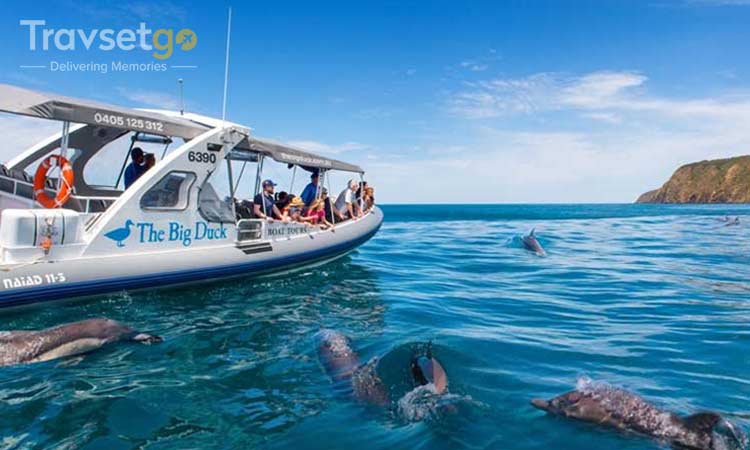 Southern Highlights of Australia