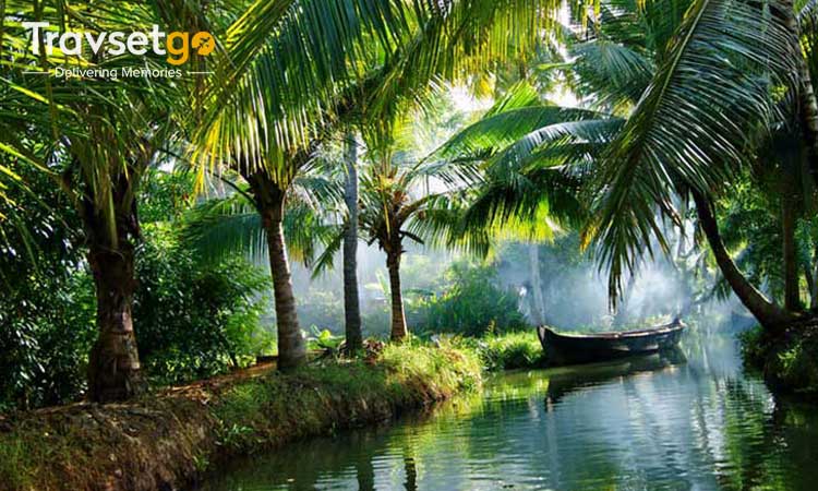 Delights of Kerala