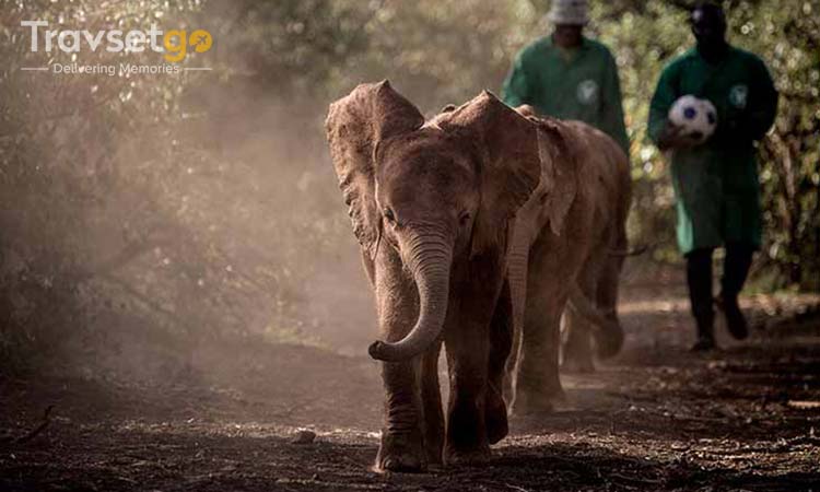 EXPLORE KENYA-SOUTH AFRICA