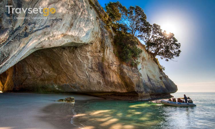 New Zealand Splendor