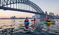 Sydney Weekend Delight