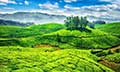 Munnar Gateway