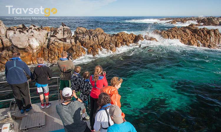 EXPLORE KENYA-SOUTH AFRICA