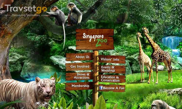 Singapore for Kids