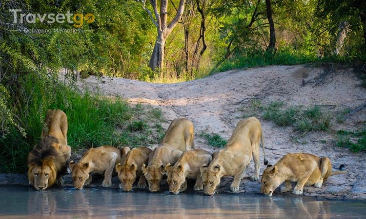 BEST OF KENYA SAFARI - SOUTH AFRICA